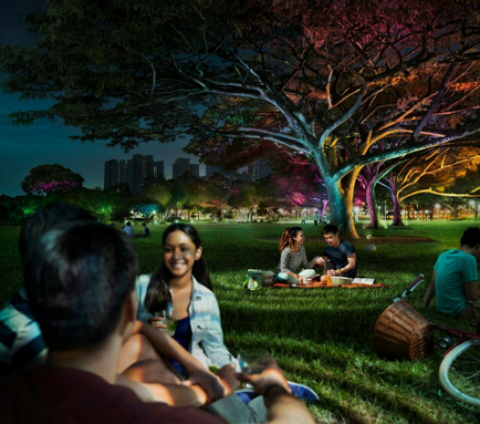 飛利浦炤(zhao)明(ming)髮(fa)佈2016年(nian)報(bao)，可(ke)持(chi)續(xu)髮(fa)展(zhan)業務(wu)銷售(shou)佔(zhan)